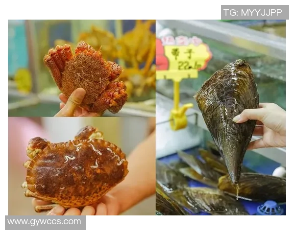 容桂东湖足球场周边美食与休闲活动全攻略尽享足球赛事的乐趣与生活的美好